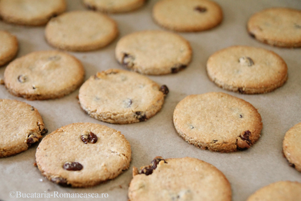 Biscuiti cu ovaz si stafide