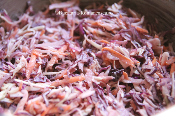 Salata Coleslaw 